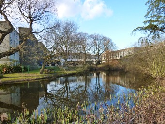 Keynes duck pond